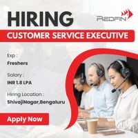 Redfin business solutions Pvt ltd